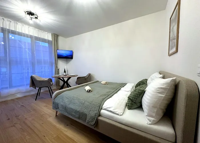 Olive With Kitchen Brno