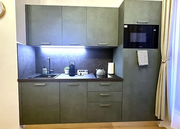 Olive With Kitchen Apartment