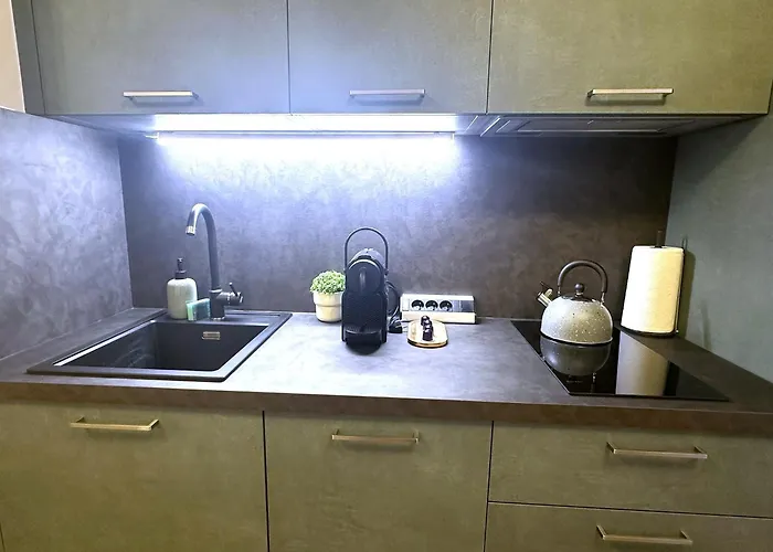 Apartment Olive With Kitchen